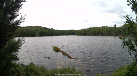 Image from 2025-07-05