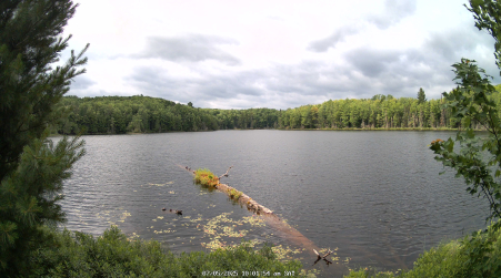 Image from 2025-07-05