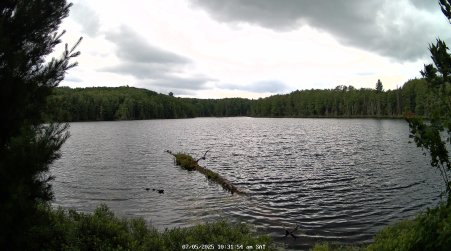 Image from 2025-07-05