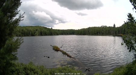Image from 2025-07-05