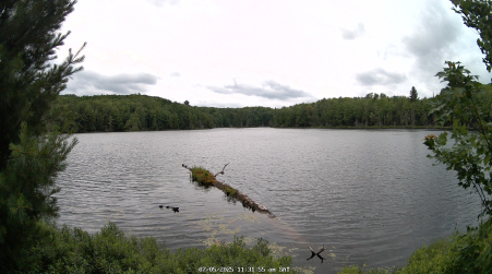 Image from 2025-07-05