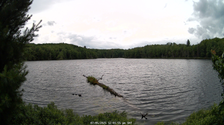 Image from 2025-07-05
