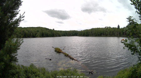 Image from 2025-07-05