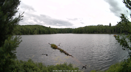 Image from 2025-07-05