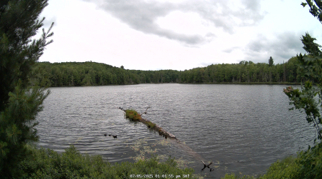 Image from 2025-07-05