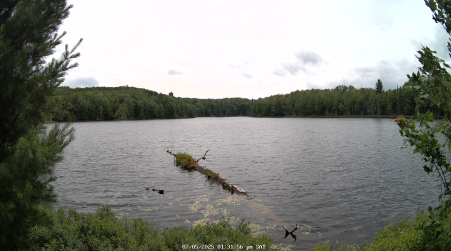 Image from 2025-07-05