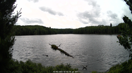 Image from 2025-07-05