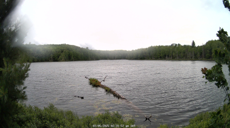 Image from 2025-07-05