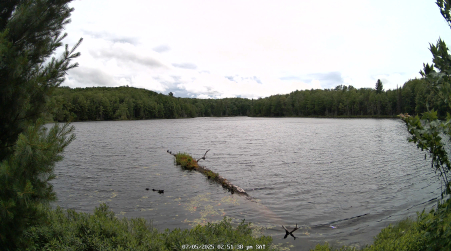 Image from 2025-07-05