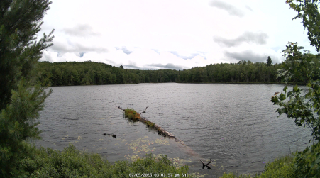 Image from 2025-07-05