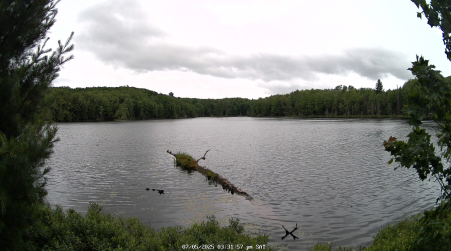 Image from 2025-07-05