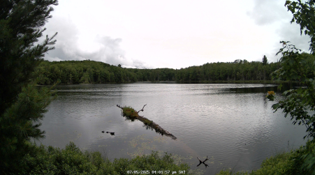 Image from 2025-07-05