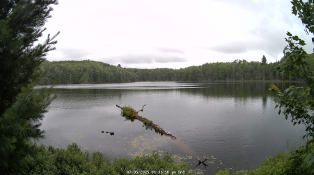 Image from 2025-07-05