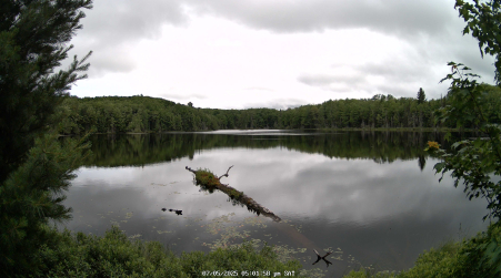 Image from 2025-07-05