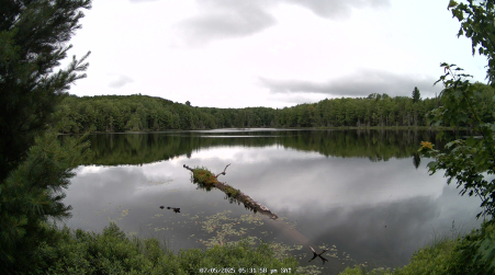 Image from 2025-07-05