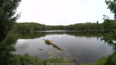 Image from 2025-07-05
