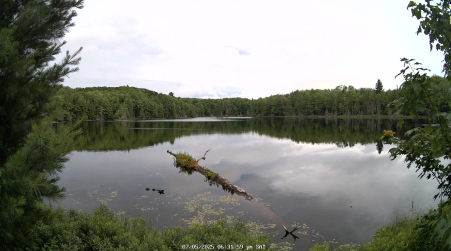 Image from 2025-07-05