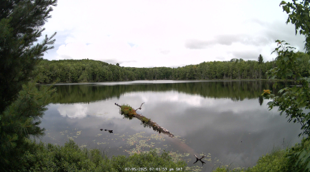 Image from 2025-07-05