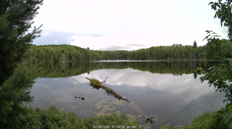 Image from 2025-07-05