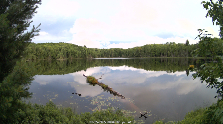 Image from 2025-07-05