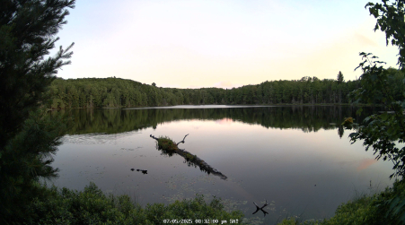 Image from 2025-07-05