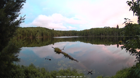 Image from 2025-07-05