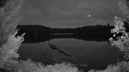 Image from 2025-07-05