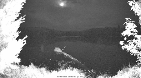 Image from 2025-07-05