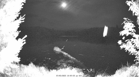 Image from 2025-07-05