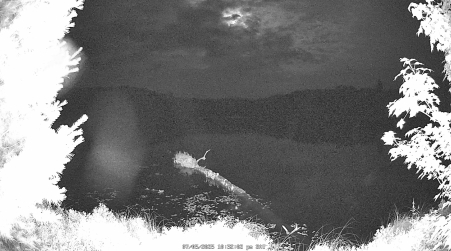 Image from 2025-07-05