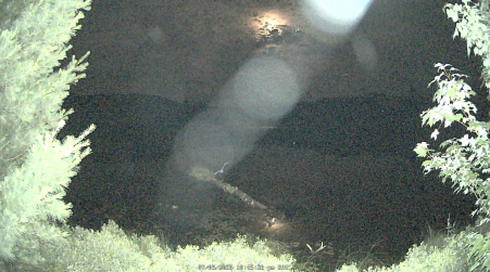 Image from 2025-07-05