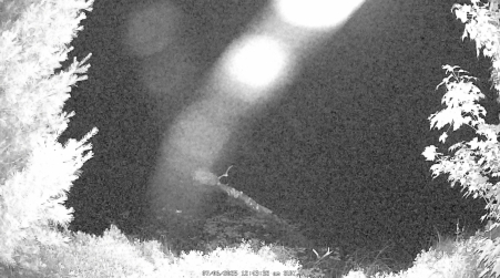 Image from 2025-07-06