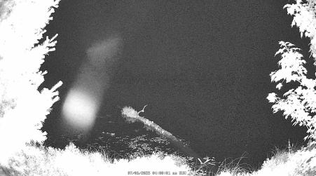 Image from 2025-07-06