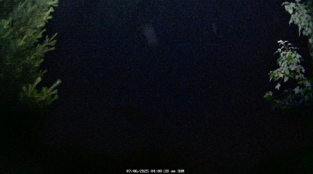 Image from 2025-07-06