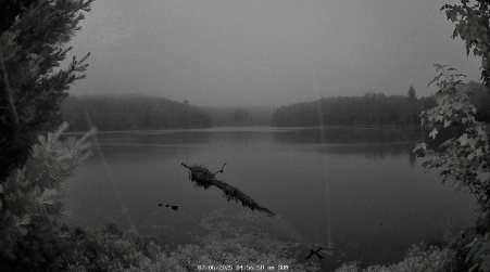 Image from 2025-07-06
