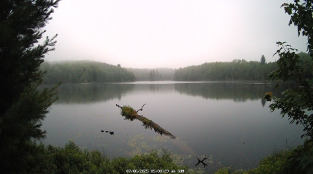 Image from 2025-07-06