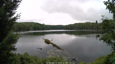 Image from 2025-07-06
