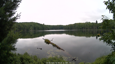 Image from 2025-07-06