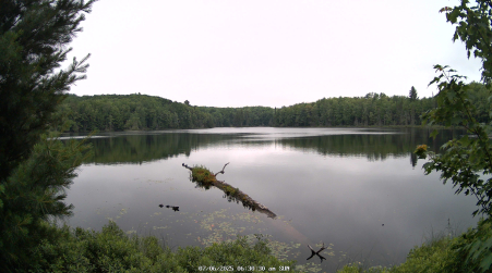 Image from 2025-07-06