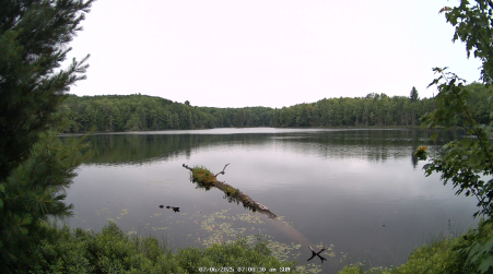 Image from 2025-07-06
