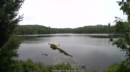 Image from 2025-07-06