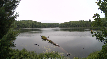 Image from 2025-07-06