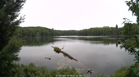 Image from 2025-07-06
