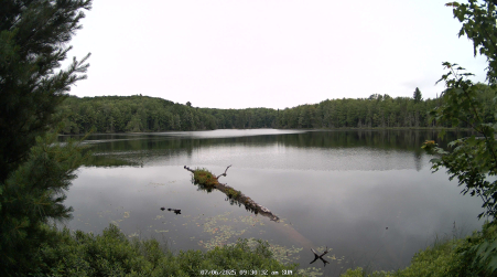 Image from 2025-07-06