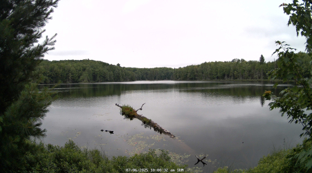 Image from 2025-07-06