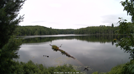 Image from 2025-07-06