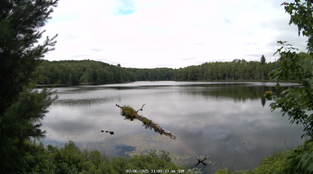 Image from 2025-07-06