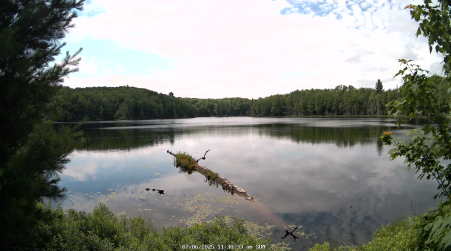 Image from 2025-07-06