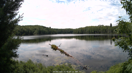 Image from 2025-07-06