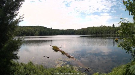 Image from 2025-07-06